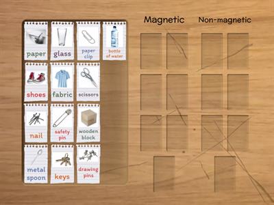 Y3 Which items are magnetic or non-magnetic? 