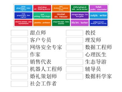 Y8 Chapter 2 : Revision 职业 （二）Occupation2
