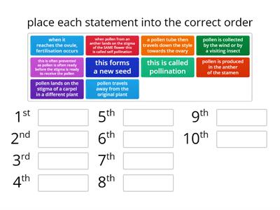 Pollination and fertilisation