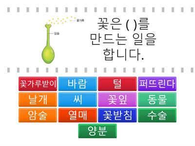 4. 식물의 구조와 기능(꽃과 열매 편) 복사본