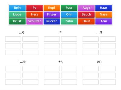 Plural (Körper und Gesicht)