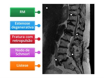 Jogo 6 - Conteúdo EAD - Imagem 2