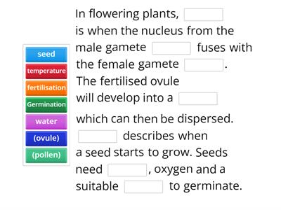 Seed Dispersal and Germination