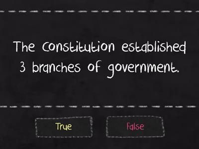 3 Branches of Government 