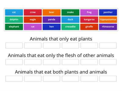 Food that Animals Eat 