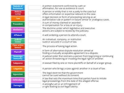 Lawsuits C2 Vocabulary