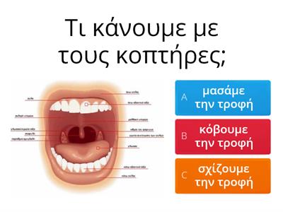 Τα δόντια μας