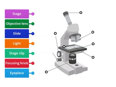 Y6 Labelling Microscope