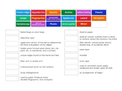 FingerPrint Vocab