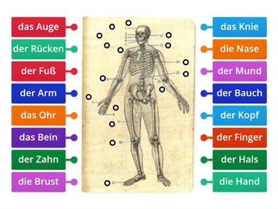 Menschen A1.2 L 18 KB 4