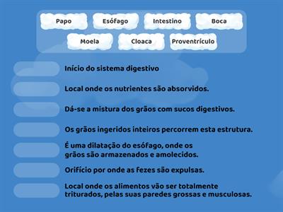 Sistema digestivo das aves granívoras