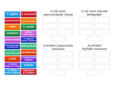 A nő szaporodási szervrendszere