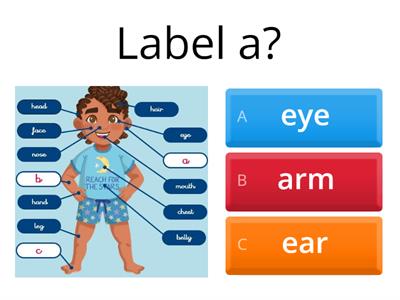 Year 2 Science: Animals Including Humans (Lesson 1)