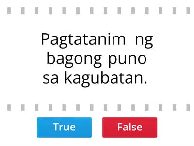 Pangangalaga sa Kalikasan Charmille Bongco