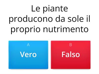 La fotosintesi clorofilliana -quiz