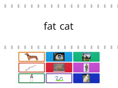 click 1 - fat , thin , long , short , tall