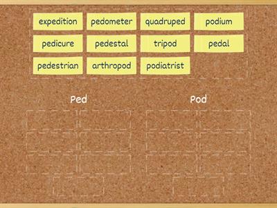 Ped and Pod words