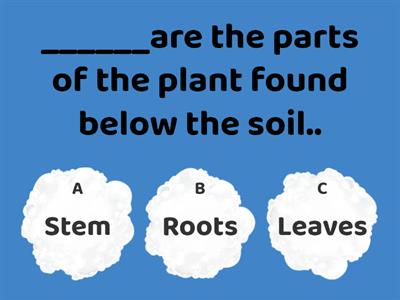 Parts of a Plant