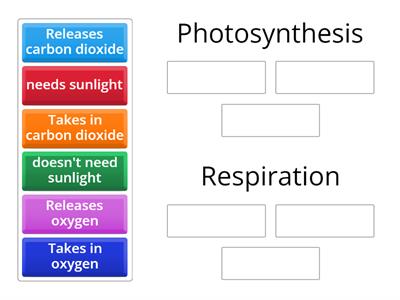 Photosynthesis vs Respiration