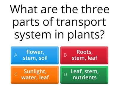 Transportation System In Plants
