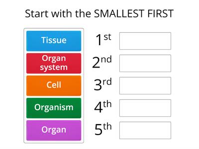 2.1 Levels of organisation rank