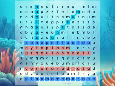 KNOW THE STRUCTURE OF SECONDARY OOCYTE