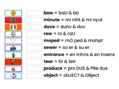 Homographs