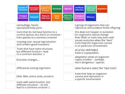 Evolution Review