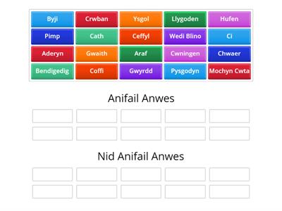Anifeiliaid Anwes