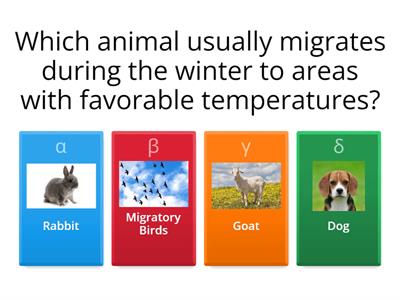 eTwinning: Benefits of Interacting with Animals - Winter Wildlife Animals - by Ourania Politou