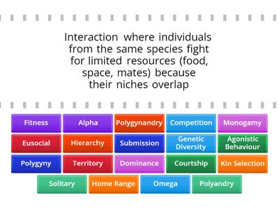 Intraspecific Relationships