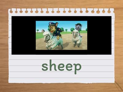 Paw Patrol Reading with Picture Support