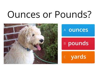 Ounces or Pounds?