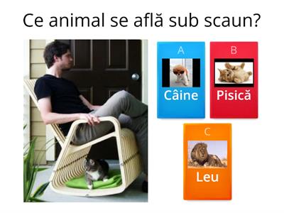 Orientare spațială-SUB și PE