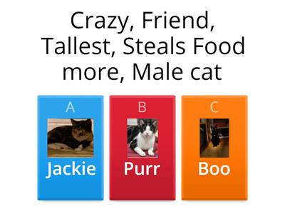 Guess Boo Purr and Jackie by clues