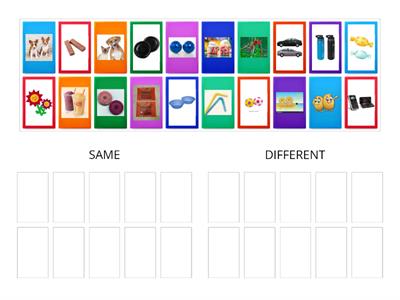Same and Different Categorization