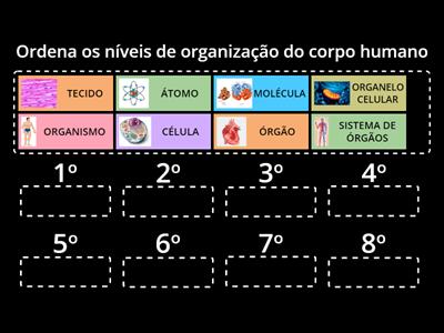 Do mais simples para o mais complexo I MJoão Carvalho