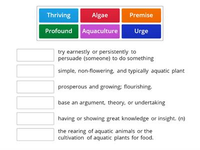 Pre-Reading Vocabulary Matching Task