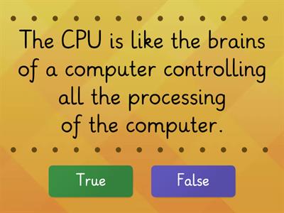 CPU True/False