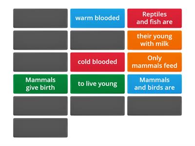 14f-2 Mammals, reptiles, birds and fish (from Racing to English)