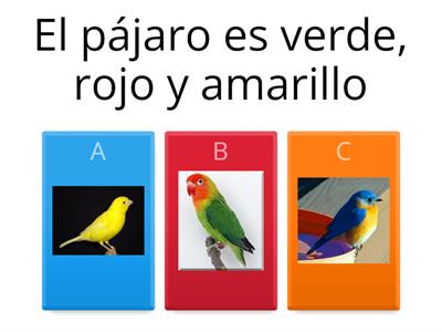 Frases con animales y colores