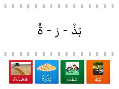 التحليل والتركيب - بذرة ريم