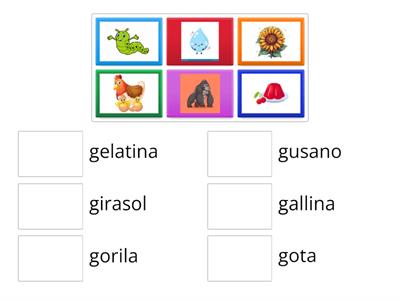 vocabulario letra g