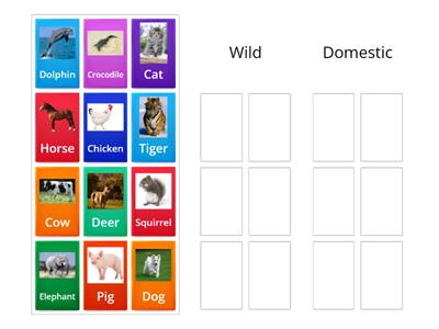 Wild vs Domestic Animals