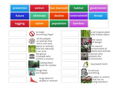 Giant Pandas ReadWorks Article Vocabulary Match Up