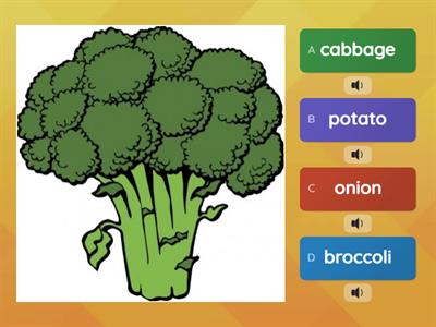 Vegetables : Quiz