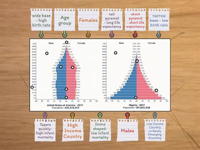 Population Pyramids to show differing levels of development