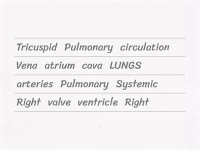 Order of blood flow through the heart