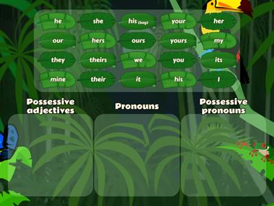 Unit 1 pronouns & possessive adjectives & possessive pronouns