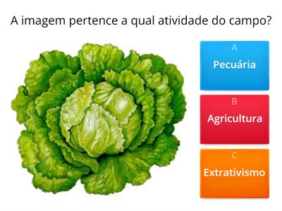 Agricultura, Pecuária e Extrativismo